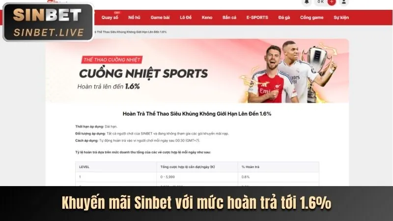 Chương trình VIP và phần thưởng độc quyền